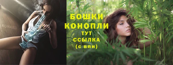 гидропоника Белокуриха