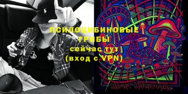 гидропоника Белокуриха