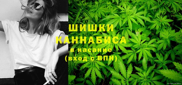 гидропоника Белокуриха