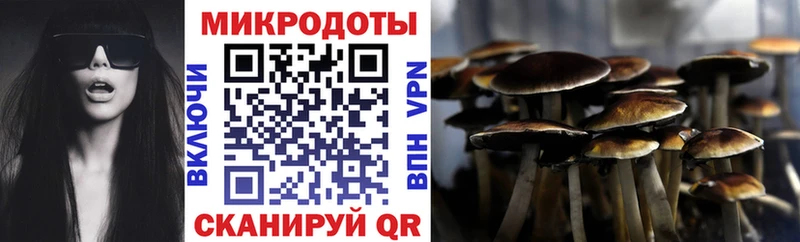 ОМГ ОМГ ССЫЛКА купить наркоту Липецк Галлюциногенные грибы Psilocybine cubensis
